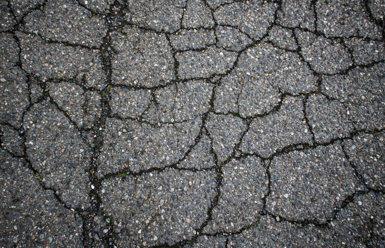 Close view of cracked asphalt pavement